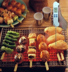 ������� ������������ ��������� - �������� Flus IR-90 (-35�+330)